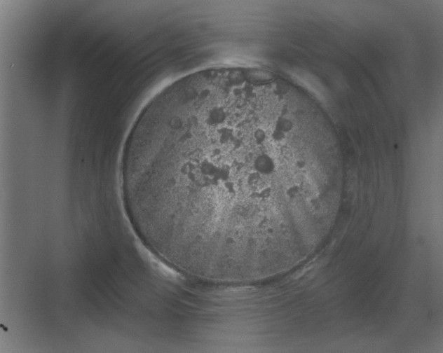 X0000072511471200607211345