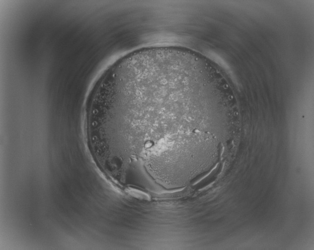 X0000072511472200607211345