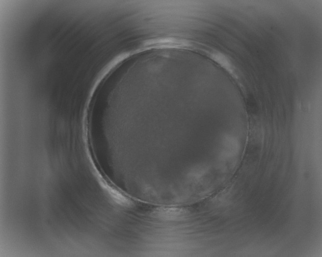 X0000072511474200607211344