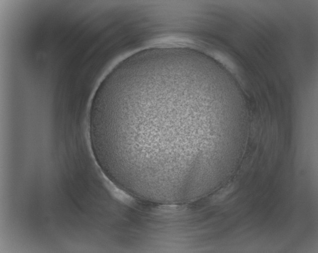 X0000072511478200607211344