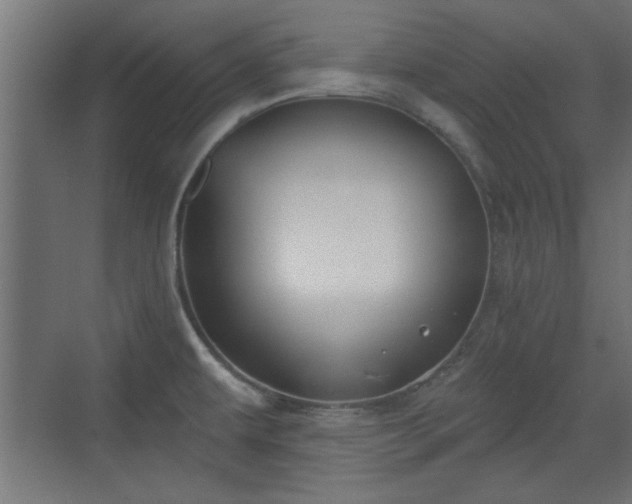 X0000072511479200607211344