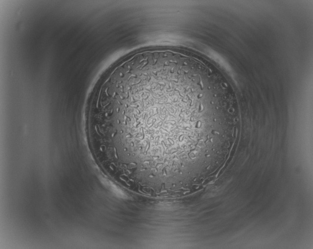 X0000072511480200607211344