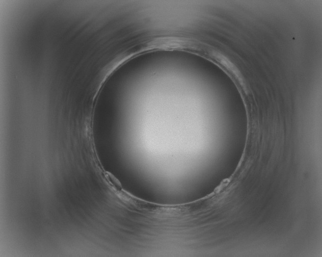 X0000072511481200607211344