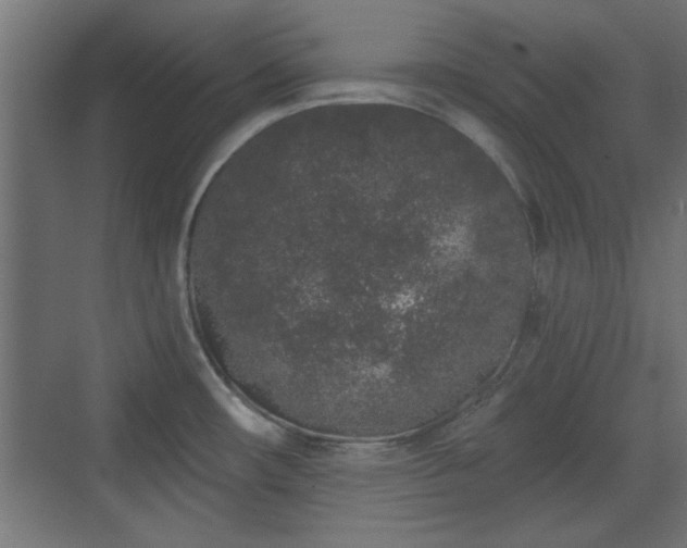 X0000072511482200607211344