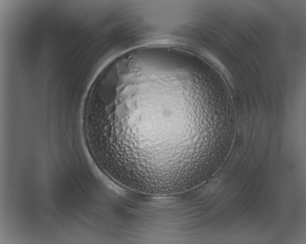 X0000072511483200607211344