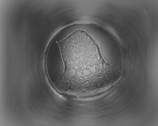 X0000072511484200607211344