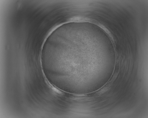 X0000072511486200607211344