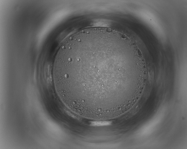 X0000072511487200607211344