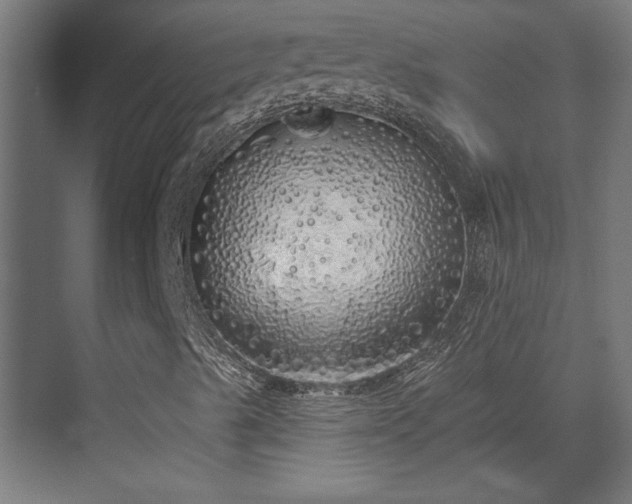 X0000072511489200607211343