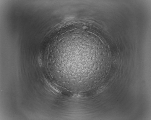 X0000072511490200607211343