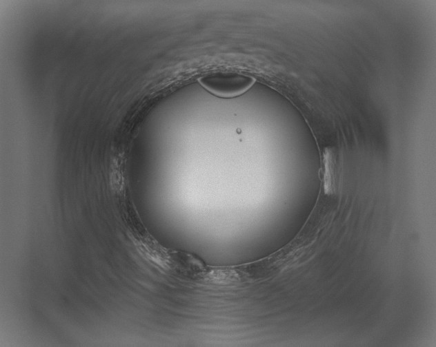 X0000072511491200607211343