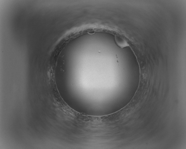 X0000072511495200607211344