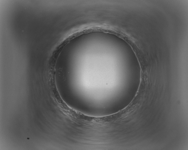 X0000072511496200607211344