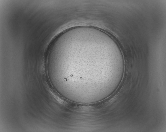 X0000072511498200607211344