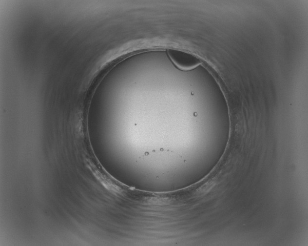 X0000072511499200607211344