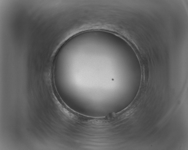 X0000072511500200607211344