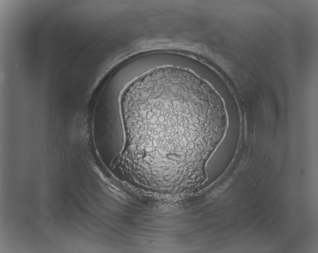 X0000072511501200607211344