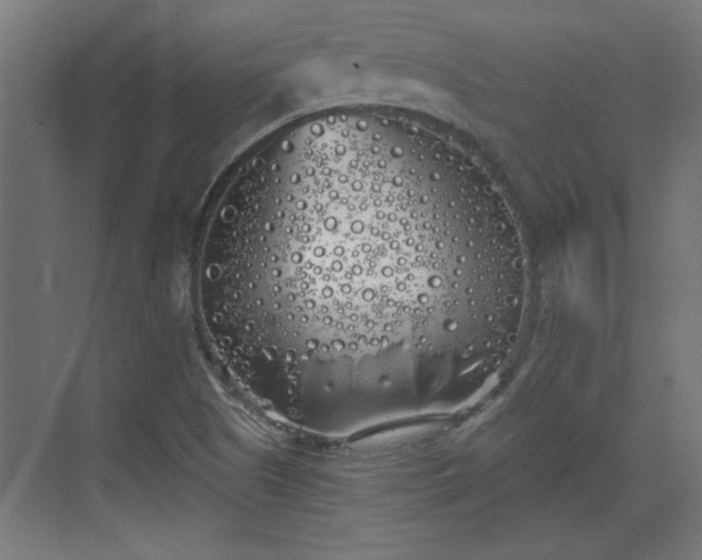 X0000072511505200607211344