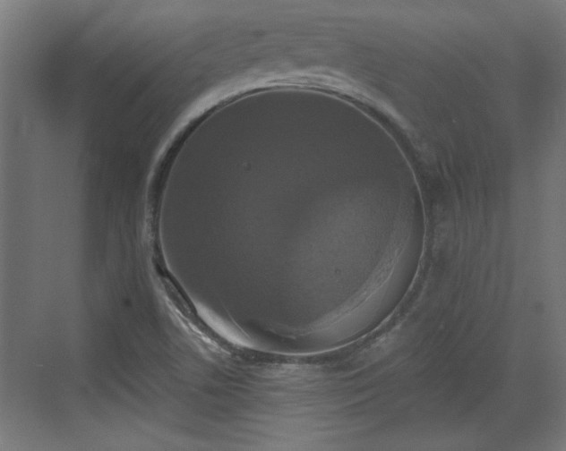 X0000072511506200607211344