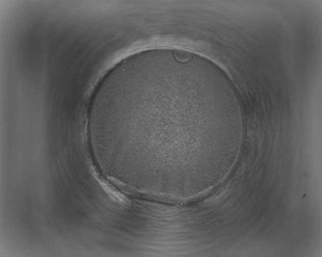 X0000072511507200607211344