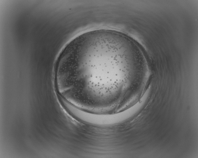 X0000072511508200607211344