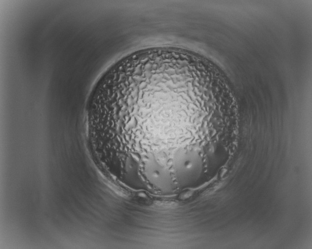 X0000072511509200607211344