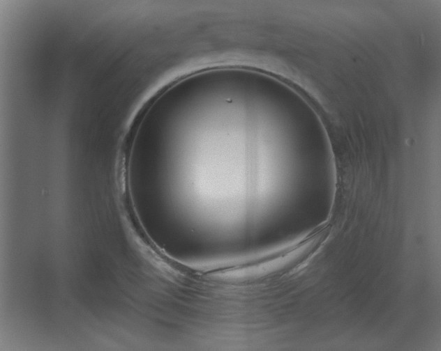 X0000072511510200607211344