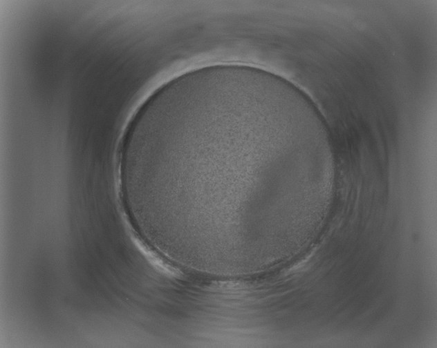 X0000072511511200607211344