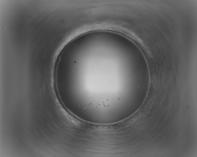 X0000072511512200607211344