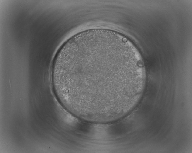 X0000072511514200607211344