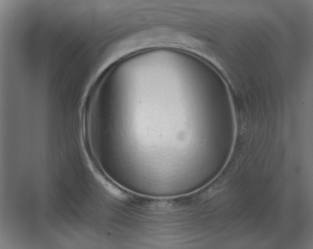 X0000072511515200607211344