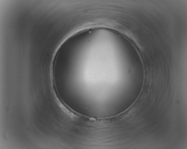 X0000072511516200607211344