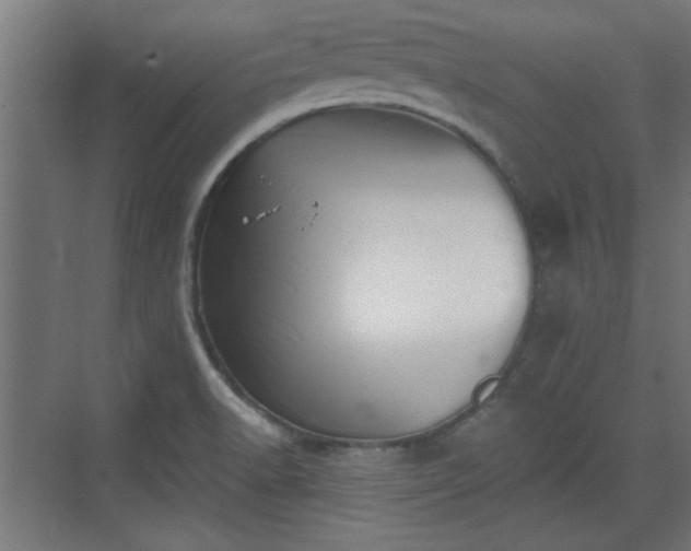 X0000072511518200607211344