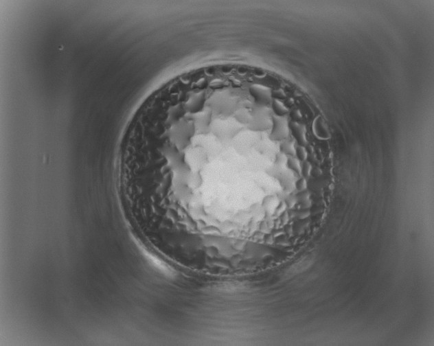 X0000072511519200607211344