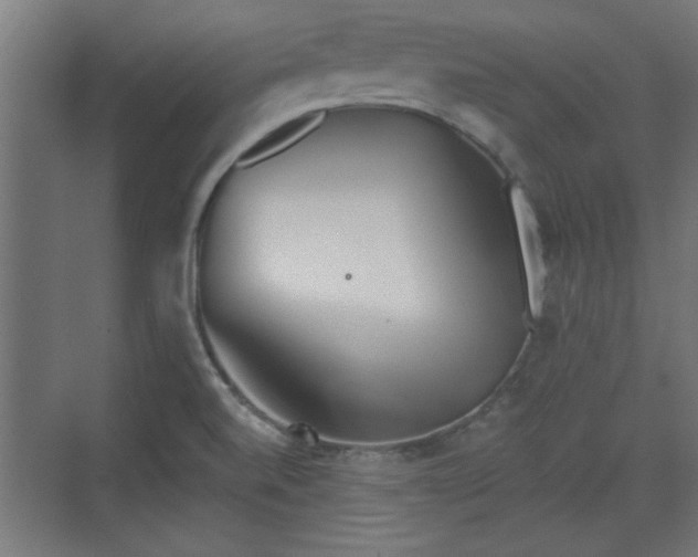 X0000072511520200607211344