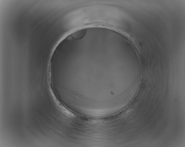 X0000072511522200607211344