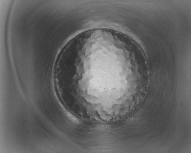 X0000072511525200607211344