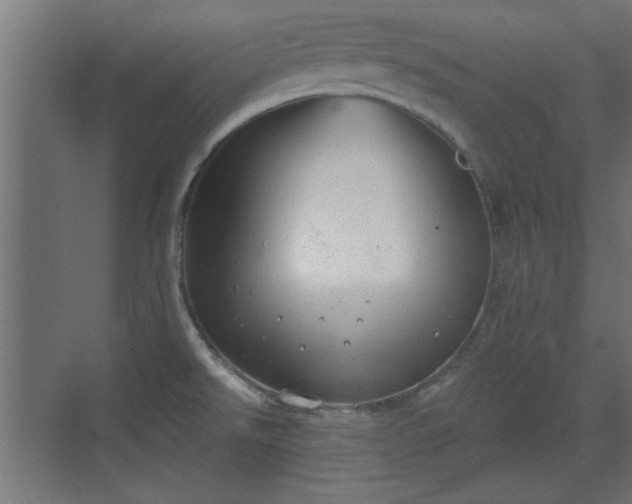 X0000072511526200607211344