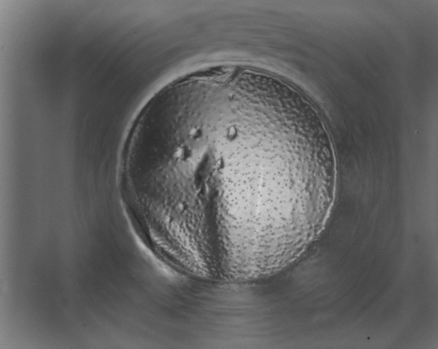 X0000072511527200607211344