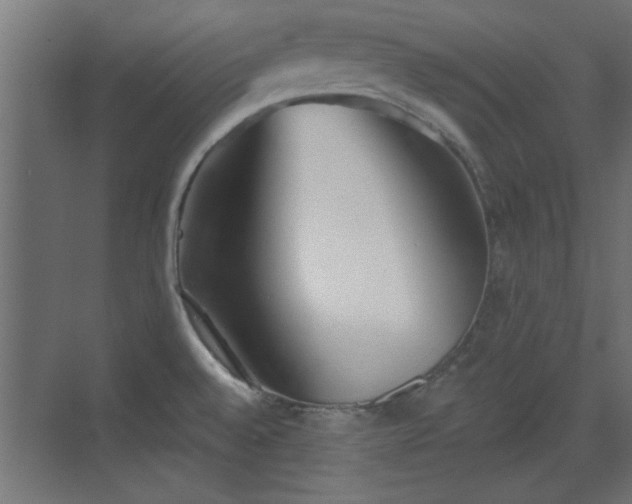 X0000072511528200607211344