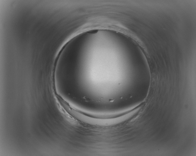 X0000072511530200607211344