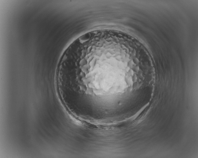 X0000072511533200607211344