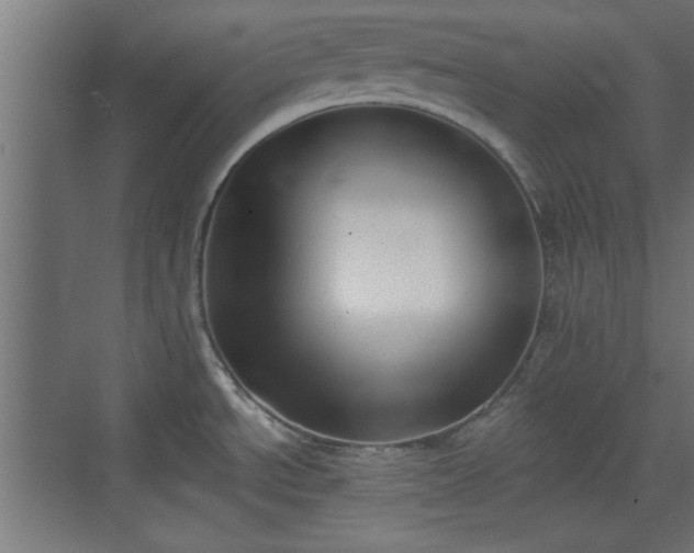 X0000072511534200607211344