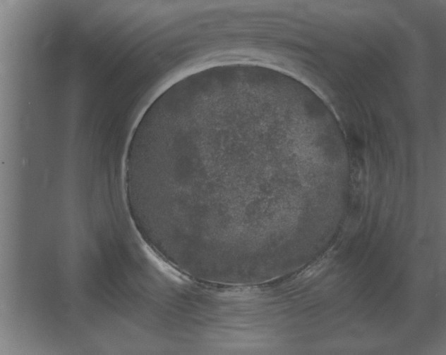 X0000072511535200607211344