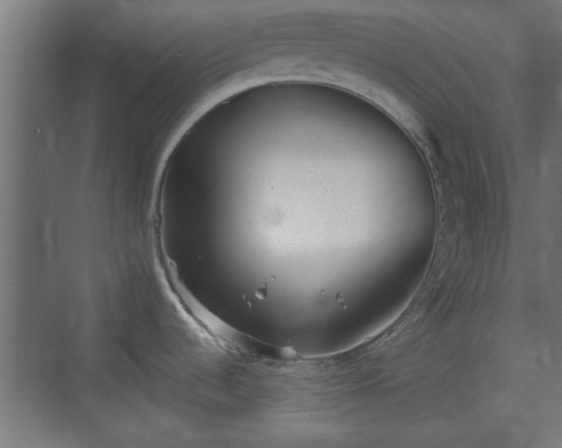 X0000072511536200607211344