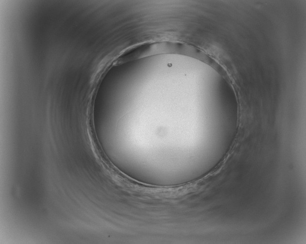 X0000072510001200607290144