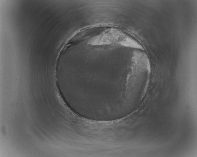 X0000072510002200607290144