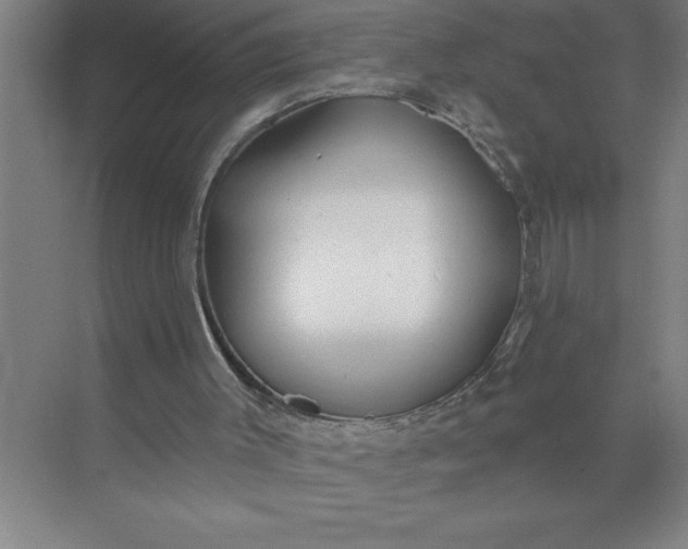 X0000072510003200607290144