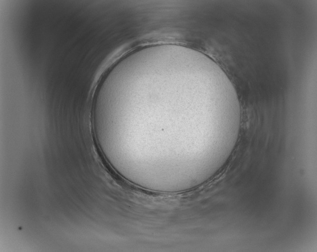 X0000072510004200607290144