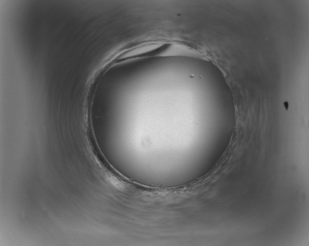 X0000072510005200607290144